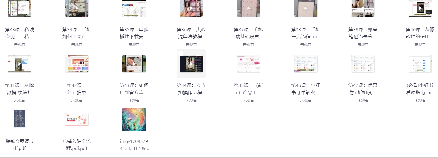 价值2999元小红书电商运营从入门到精通