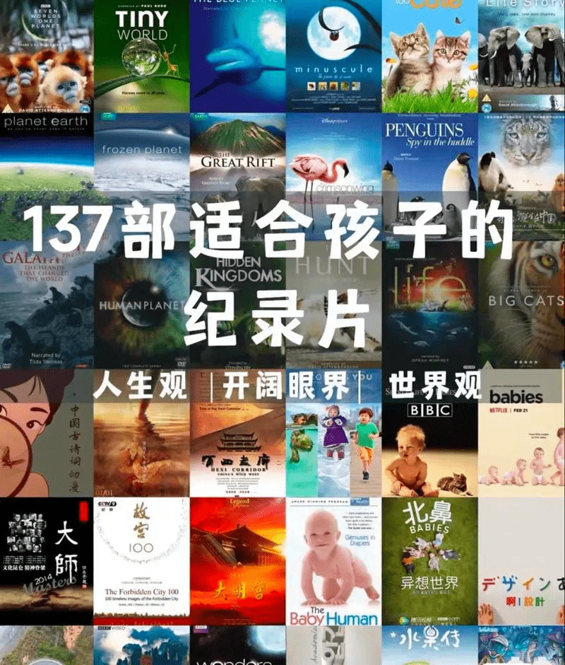 央视推荐的137部儿童纪录片，都在这里了，非常具有教育意义，整整 3.56TB