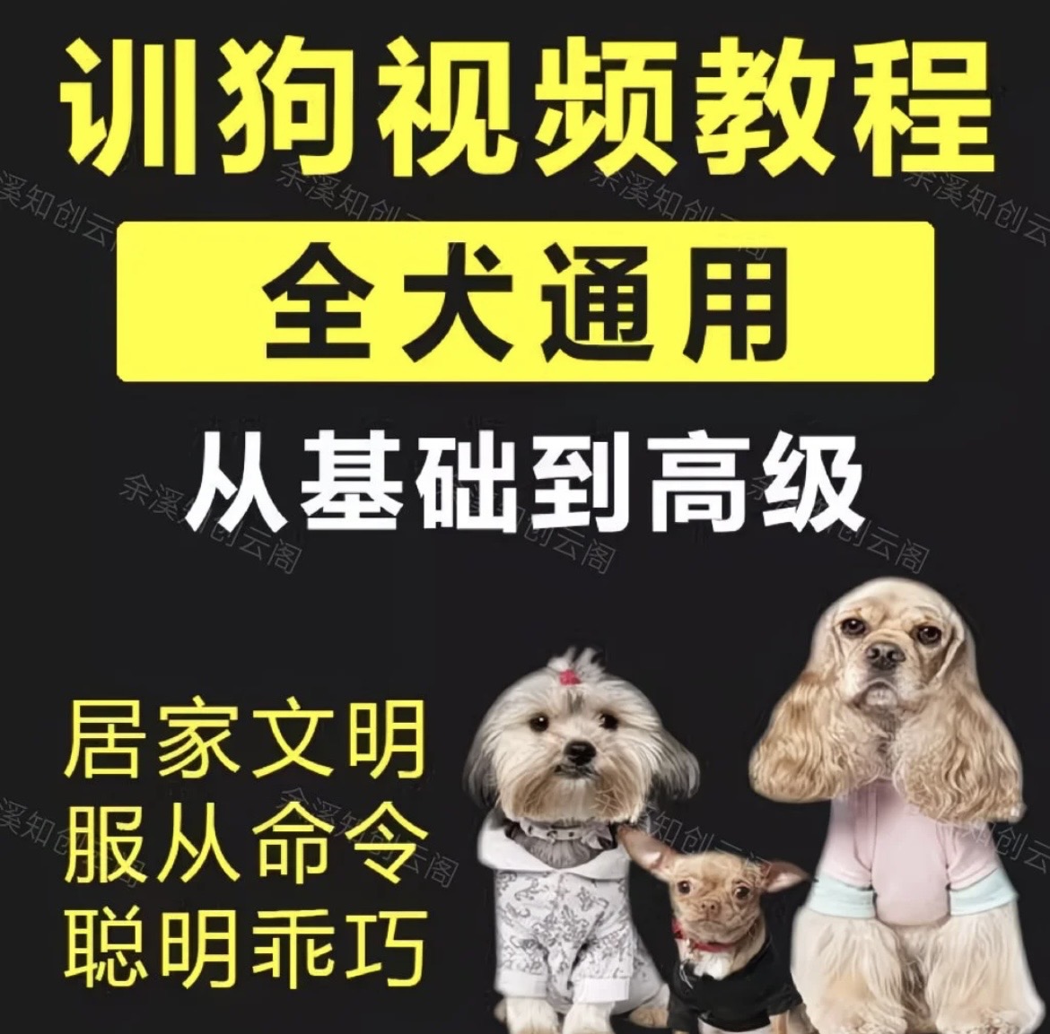 养了3年狗，花了6000块送去训狗学校，不如这套视频教程管用（全犬通用）