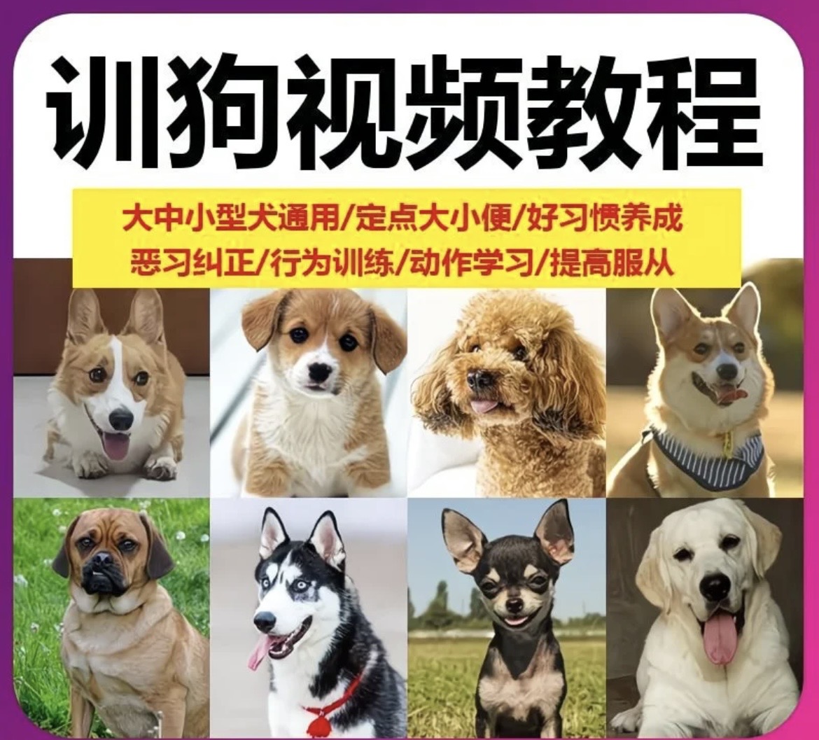 c3510cf668f97380eadc14fd20036066_202602241771941881857865.jpeg