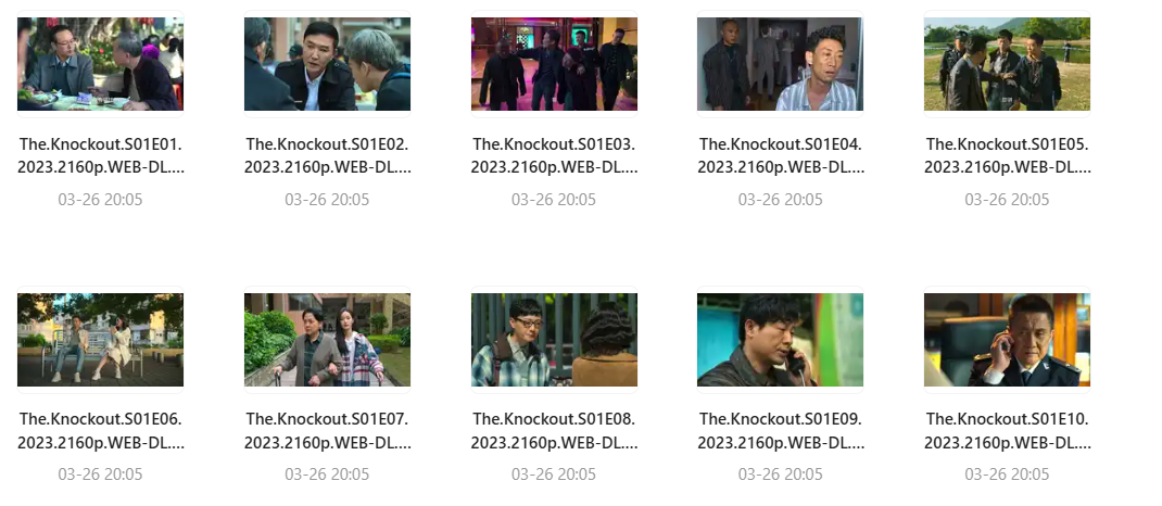 狂飙 (2023) 4K 高码率 1080P 去片头片尾 国语中字 全39集 无水印 2023高分剧 张译 / 张颂文